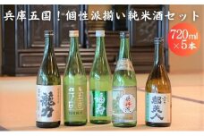 兵庫五国！個性派揃い純米酒セット