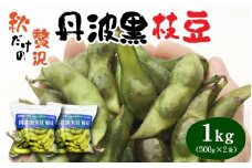 【先行予約】 【期間限定】 【数量限定】 丹波黒大豆 川北黒大豆枝豆 さや豆 1kg （500g×2パック）  【2025年10月中旬以降順次発送予定】　/ 丹波篠山黒大豆 川北黒大豆