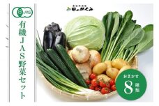 有機JAS野菜セット（8種類） 　【 野菜 セット 詰合せ 旬のお野菜 新鮮 安全 オーガニック 出荷農家により異なる味 お楽しみ 】