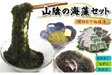 【レビューキャンペーン】もずく、めかぶ、あかもく３種の海藻詰合せ