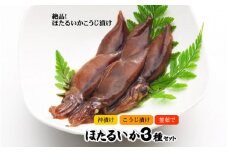 【レビューキャンペーン】ほたるいかAセット