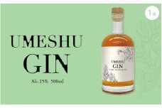 UMESHU GIN