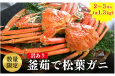 【レビューキャンペーン】【数量限定】訳あり　釜茹で松葉ガニ　2～3枚入　計1.3Kg