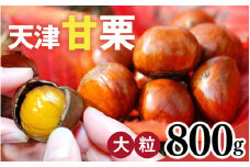 【レビューキャンペーン】【先行予約】 天津甘栗 800g 【 2025年10月下旬より順次発送予定 】／ 焼きたて 栗 くり マロン 秋 おやつ 栗爪 殻付き お菓子 おつまみ 人気 高リピート 小分け 栗ご飯 栗きんとん 甘露煮 こだわり 手軽 おためし お試し