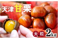 【レビューキャンペーン】【先行予約】 天津甘栗 2kg 【 2025年10月下旬より順次発送予定 】／ 焼きたて 栗 くり マロン 秋 おやつ 栗爪 殻付き お菓子 おつまみ 人気 高リピート 小分け 栗ご飯 栗きんとん 甘露煮 こだわり 手軽 おためし お試し