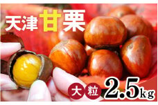 【最速発送】【レビューキャンペーン】【 受付：2025年8月10日まで 】 天津甘栗 2.5kg  ／ 焼きたて 栗 くり マロン 秋 おやつ 栗爪 殻付き お菓子 おつまみ 人気 高リピート 小分け 栗ご飯 栗きんとん 甘露煮 こだわり 手軽 おためし お試し