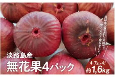 【先行予約/数量限定】淡路島産 無花果4パック(約1.6kg) 【2025年8月下旬より順次発送】 いちじくイチジク / フルーツ 果物 果実 くだもの 無花果 国産 冷蔵
