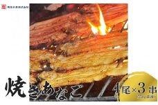 焼き方・タレにこだわった焼きあなご4尾×3串（550g前後）【播州 焼き穴子 焼きアナゴ 海鮮 お取り寄せ ギフト 人気】