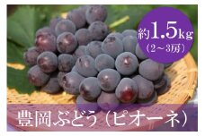 【期間限定】 【数量限定】 豊岡ぶどう（ピオーネ） 約1.5kg ／ 兵庫県 ピオーネ フルーツ 大粒 ぶどう 葡萄 ブドウ 果物 人気 新鮮 高級 ギフト 兵庫県産 豊岡市産 贈答 くだもの 期間限定 令和6年 2024年発送