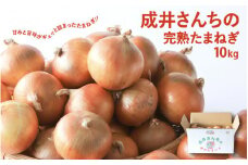 淡路島産 成井さんちの完熟たまねぎ 10kg　【 淡路島 玉ねぎ 玉葱 玉ネギ タマネギ 完熟 人気 おすすめ 】