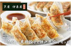 芦屋 一口餃子「壱心」と黒豚餃子と神戸牛餃子セット 1.2kg 66個 ／ 人気 おすすめ セット ぎょうざ 餃子 中華 中華料理 冷凍 冷凍餃子 簡単調理 ギョウザ こだわり 肉汁 ジューシー 国産 野菜 肉 一口サイズ おつまみ 鹿児島黒豚 取り寄せ グルメ ポン酢 タレ付