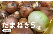 訳あり たまねぎ 5kg 淡路島 フードロス SDGs 【 不揃い サイズ 混合 ミックス S M L 2L 玉ねぎ タマネギ オニオン スライス サラダ ハンバーグ 肉じゃが 焼肉 常備菜 BBQ スープ 味噌汁 産地直送 兵庫県 淡路市 ワケアリ 訳アリ 玉葱 タマネギ 5キロ 】