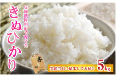 【先行予約】兵庫県佐用町で育てたきぬひかり 5kg 【2025年9月下旬頃から順次発送予定】 兵庫県産 きぬひかり 減農薬米 精米 お米 特Aランク