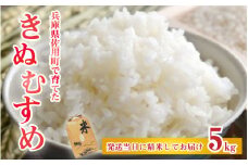 【先行予約】兵庫県佐用町で育てたきぬむすめ 5kg【2025年10月中旬頃から順次発送予定】 兵庫県産 きぬむすめ 減農薬米 精米 お米 特Aランク