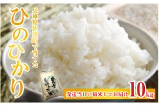 【先行予約】兵庫県佐用町で育てたひのひかり 10g【2025年10月中旬頃から順次発送予定】兵庫県産 ひのひかり 減農薬米 精米 お米 特Aランク 選べる 