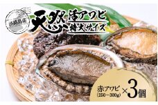 天然活アワビ 特大サイズ 3個
