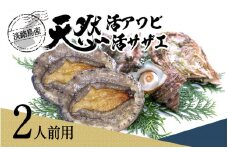 天然活アワビ・活サザエセット(2人前用）淡路島産