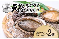 天然活アワビ 特大サイズ 2個