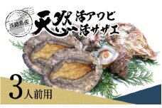 天然活アワビ・活サザエセット(3人前用）淡路島産