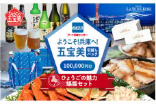 ようこそ兵庫へ！五宝美引越しパック！「ひょうごの魅力 堪能セット」100,000円分