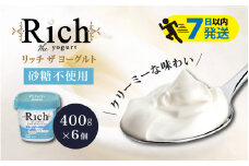 【レビューキャンペーン】【砂糖不使用】 共進牧場 リッチザヨーグルト 400g×6個 ／ ヨーグルト 生乳 リッチ 乳製品  お取り寄せ スイーツ 洋菓子 健康 ギフト プレゼント お返し  誕生日 朝食 砂糖不使用