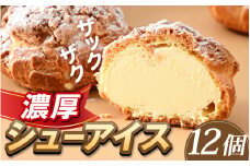 【レビューキャンペーン】神戸 シュー・パリジャン バニーユ 12個