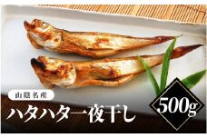 【レビューキャンペーン】山陰名産　ハタハタ一夜干し　500ｇ