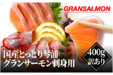 【レビューキャンペーン】国産とっとり琴浦グランサーモン刺身用　400ｇ訳あり