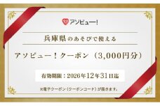 【兵庫県】アソビュー！ふるさと納税クーポン（3,000円分）　
