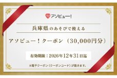 【兵庫県】アソビュー！ふるさと納税クーポン（30,000円分）　