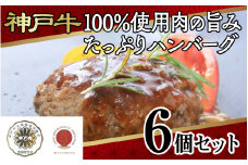 【毎月数量限定】神戸牛100%使用・肉の旨みたっぷり・ハンバーグ6個セット