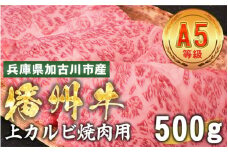 加古川市産  黒毛和牛(播州牛) 上カルビ焼肉用 500g