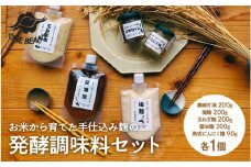 お米から育てた手仕込み麹の発酵調味料セット