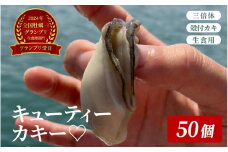 【2024全国牡蠣-1グランプリ】【グランプリ受賞】三倍体　殻付カキ(生食用)　キューティーカキー♡ 50個