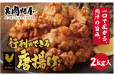 【レビューキャンペーン】行列のできる唐揚げ（半製品）