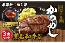 【レビューキャンペーン】本家かつめし亭のかつめし（3食入り）