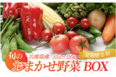 【定期便】 旬のおまかせ野菜BOX 10品～15品 6回
