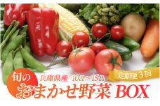 【定期便】 旬のおまかせ野菜BOX 10品～15品 3回