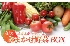 旬のおまかせ野菜BOX 10品～15品 単発便