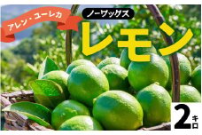【期間限定】 淡路島産 アレン・ユーレカレモン 2kg 国産レモン 淡路島 瀬戸内レモン 檸檬 lemon 柑橘 レモネード  レモンサワー