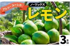 【期間限定】 淡路島産 アレン・ユーレカレモン 3kg 国産レモン 淡路島 瀬戸内レモン 檸檬 lemon 柑橘 レモネード  レモンサワー