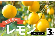 【先行予約】淡路島産 マイヤーレモン 3kg 国産レモン 淡路島 瀬戸内レモン 檸檬 lemon 柑橘 レモネード  レモンサワー【 2025年10月中旬より順次発送 】