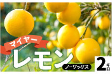 【先行予約】淡路島産 マイヤーレモン 2kg 国産レモン 淡路島 瀬戸内レモン 檸檬 lemon 柑橘 レモネード  レモンサワー【 2025年10月中旬より順次発送 】