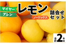 【先行予約】淡路島産 アレン・ユーレカレモン&マイヤーレモン 詰め合わせセット 2kg 国産レモン 淡路島 瀬戸内レモン 檸檬 lemon 柑橘 レモネード  レモンサワー【 2025年10月中旬より順次発送 】