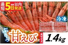 甘えび (大サイズ) 約1,400g 天然・鮮度抜群！【発泡箱】 船内冷凍 64尾
