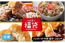 今井ファームのメガ盛り冷凍福袋【ハンバーグ・牛丼・餃子・コロッケ】
