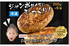 淡路島たまねぎどっさりジャンボハンバーグ 200g×6個