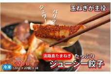 淡路島たまねぎたっぷりジューシー餃子 200個（20個×10）