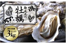 【先行予約】勤成丸の牡蠣 殻付き牡蠣 3.0kg【2025年12月中旬以降順次発送予定】