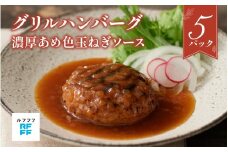 グリルハンバーグ 濃厚あめ色玉ねぎソース 5パック【グリル ハンバーグ肉料理 定番 簡単調理 時短メニュー 冷凍食品 ランチ ディナー おうちごはん レトルト 】